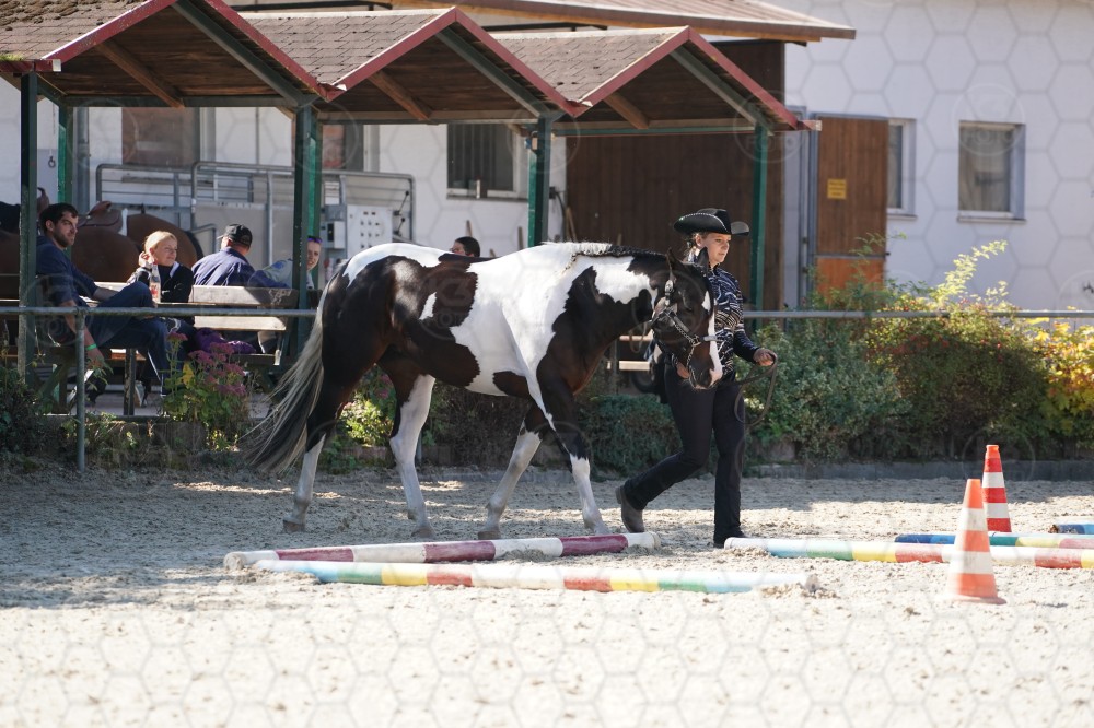 s_A_907508.JPG